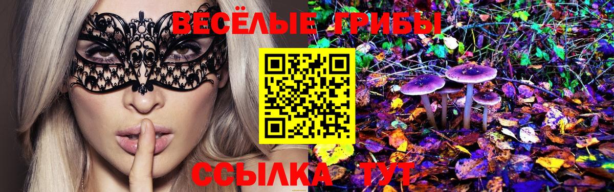 Корсаков  Псилоцибиновые грибы GOLDEN TEACHER  Вход с VPN  Псилоцибиновые грибы Psilocybine cubensis 